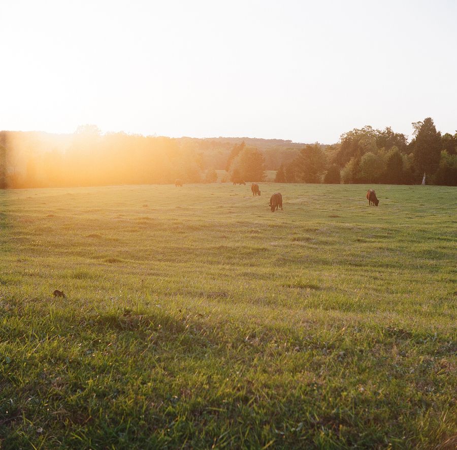 IMAGE: http://i359.photobucket.com/albums/oo31/michelle_brooks62/000041650011_zps2d6jujbx.jpg