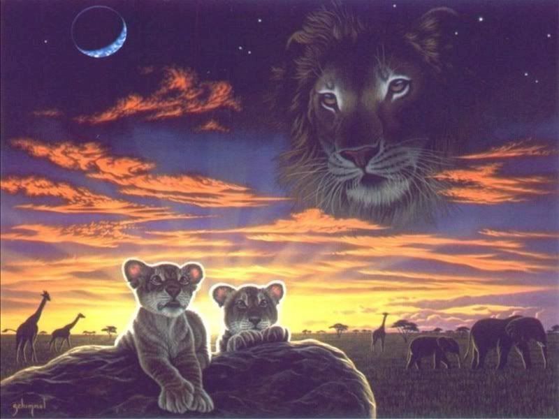 picture