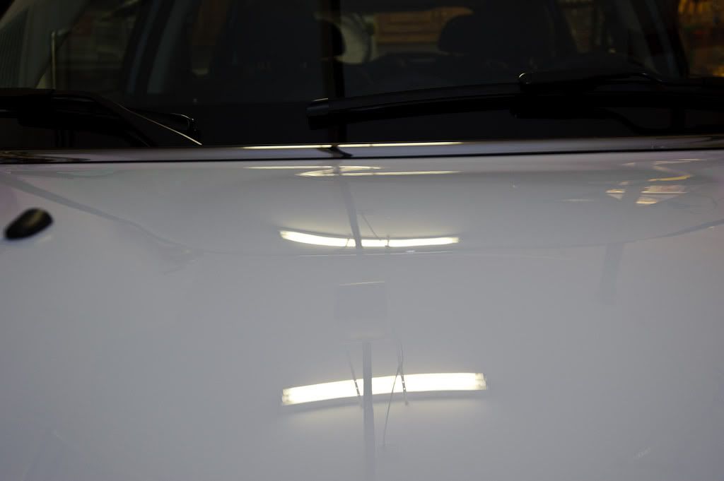 RLF_1069-2.jpg