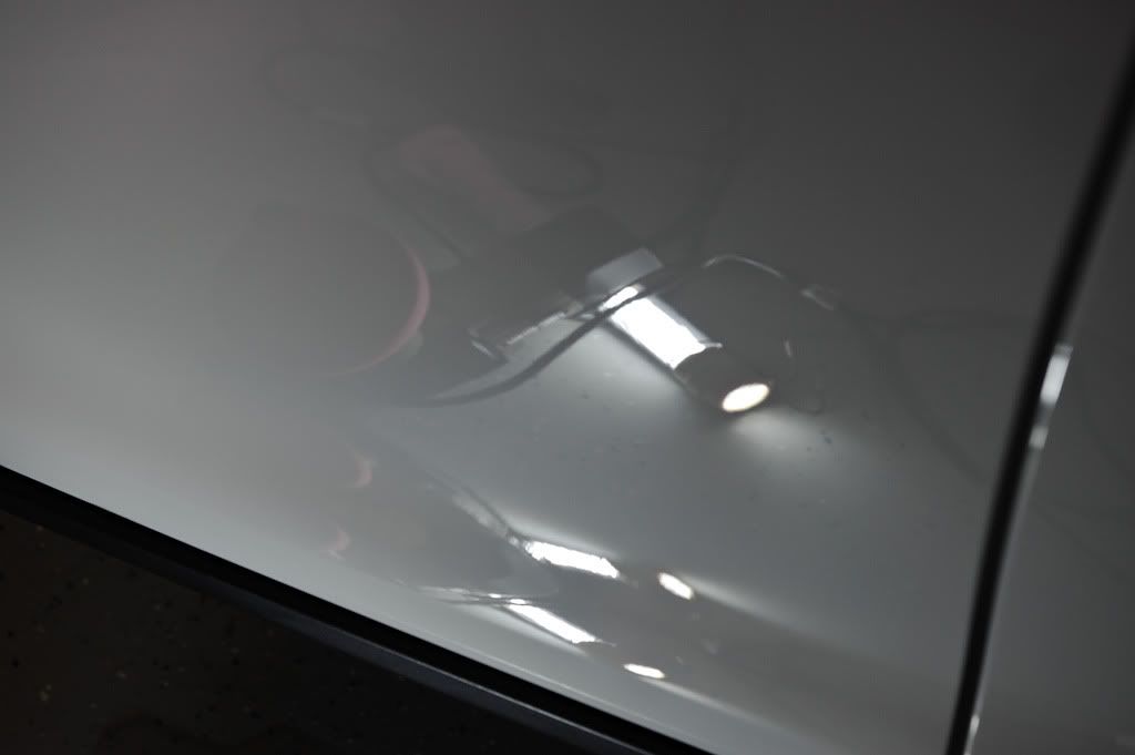 RLF_1208.jpg