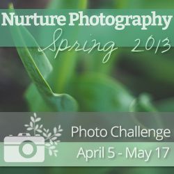 Nurture Photography Challenge - Spring 2013 Edition