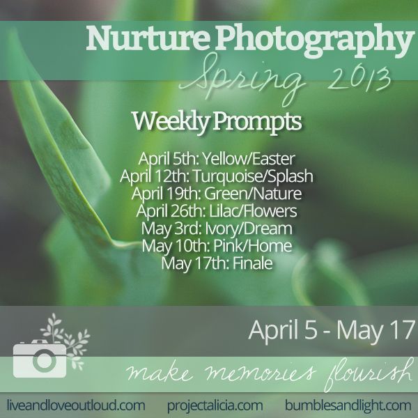  photo NurtureSpring2013Prompt_zps42c3ad5f.jpg