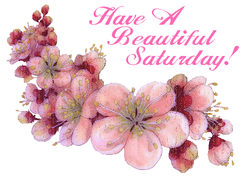 Saturday Dogwood_glitter Pictures, Images and Photos