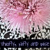 Thrifty, Nifty and Wise