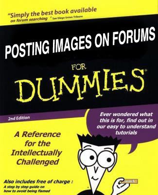 Image-Posting-for-dummies.jpg