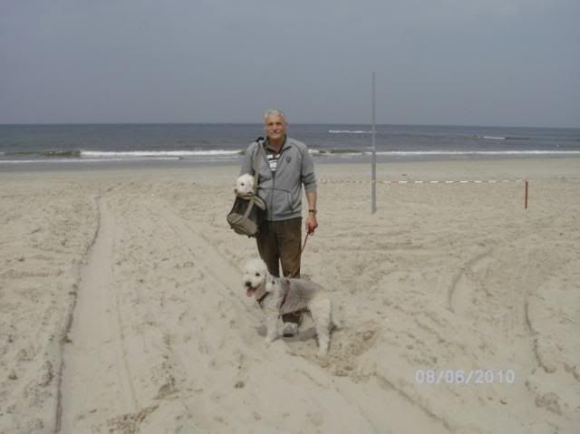 Urlaub2010inHolland019.jpg