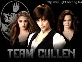 http://i359.photobucket.com/albums/oo37/_Dincsi_/blog/teamcullen.jpg