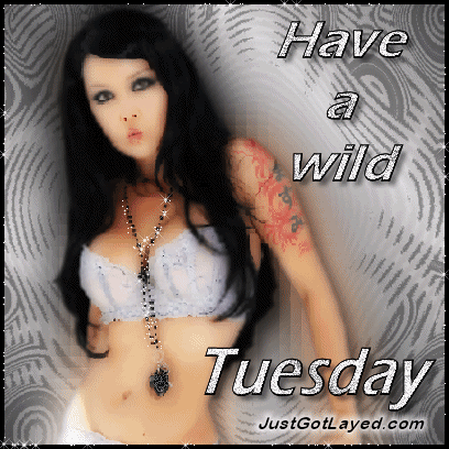 sexy tuesday photo: tuesday Sexy-Wild-Tuesday-1.gif