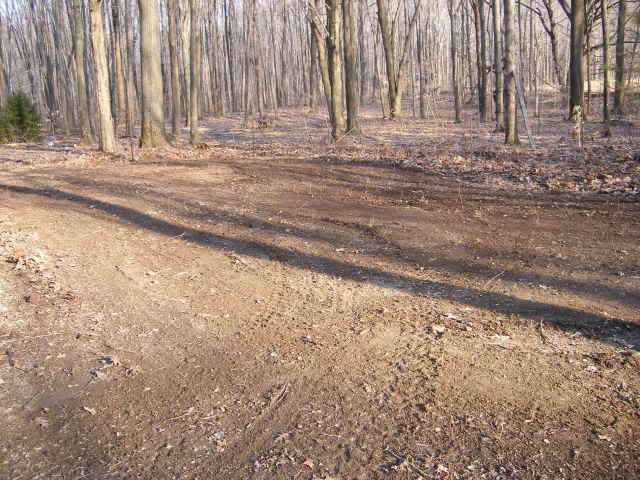 http://i359.photobucket.com/albums/oo38/francishunting/Hunting%20Projects/Backyard/Foodplotstep1.jpg