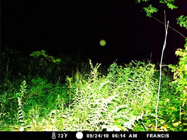 http://i359.photobucket.com/albums/oo38/francishunting/Trail%20Camera%20Pics/moon.jpg