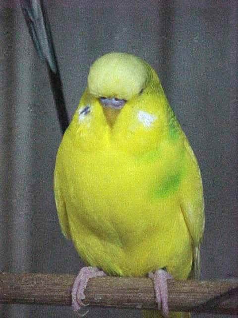 01WhatamI.jpg