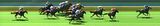 th_PHOTOFINM13784R2.jpg