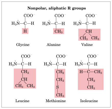 Biochem GX