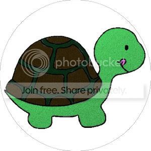 Turtle.jpg